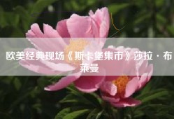 欧美经典现场《斯卡堡集市》莎拉·布莱曼