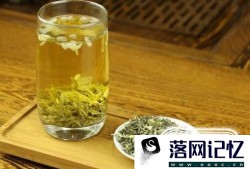 哪些人不适合喝茉莉花茶优质