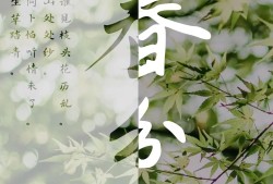 苍雪清竹：二十四节气之春分   春意欲藏墙外闹，酒香不掩店村旁