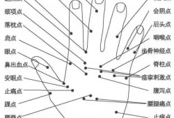 【偏方验方】这里为您收藏整理了《40个常见病穴位按摩大全》