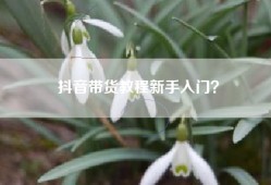 抖音带货教程新手入门？