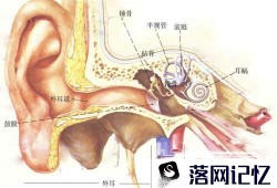 耳朵像被堵住的那种感觉 ,说话有回音怎么办？优质