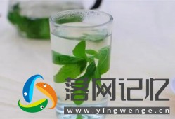 薄荷泡水用开水还是冷水泡