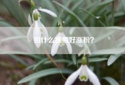 拍什么视频好涨粉？