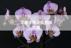 苹果手机定位追踪
优质