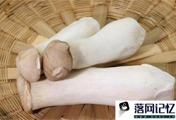 吃杏鲍菇的注意事项