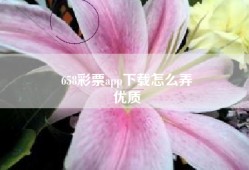 658彩票app下载怎么弄
优质