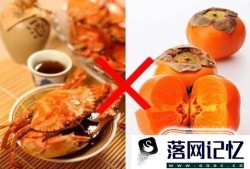 不能在一起吃的食物优质