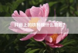 抖音上的铁粉榜什么意思？