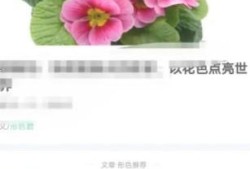 形色如何帮他人鉴定植物优质