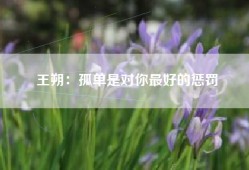 王朔：孤单是对你最好的惩罚