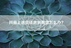 抖音上退货钱退到微信怎么办？