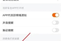 平安好车主怎么开启消息全天免打扰优质