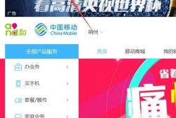 怎么在网上变更中国移动品牌套餐优质