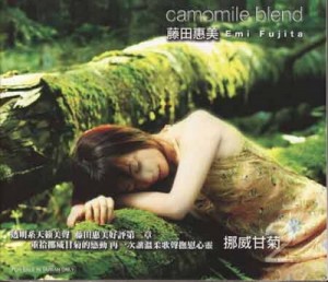 Down By The Salley Garden – 藤田惠美  第1张