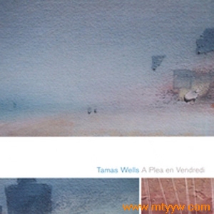 简约之美Valder Fields – Tamas Wells  第1张