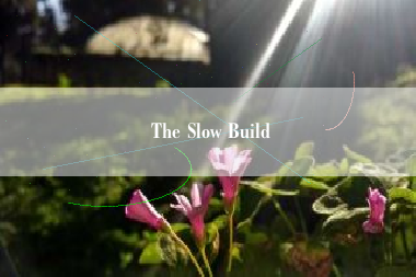 The Slow Build  第1张