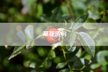 草花造句  第1张