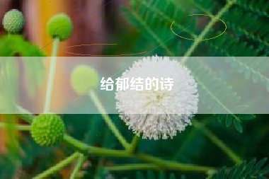 给郁结的诗  第1张