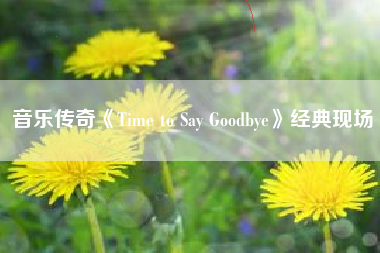 音乐传奇《Time to Say Goodbye》经典现场  第1张