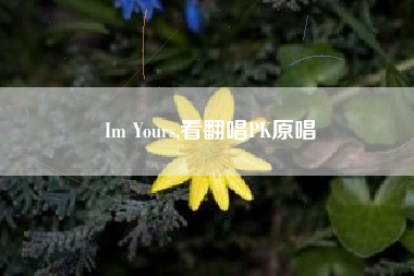 Im Yours,看翻唱PK原唱  第1张