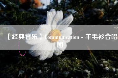 【经典音乐】Communication - 羊毛衫合唱团  第1张