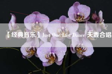 【经典音乐】Just One Last Dance 夫妻合唱  第1张