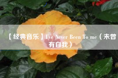 【经典音乐】I've Never Been To me（未曾有自我）  第1张