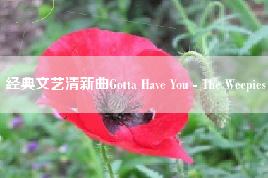 经典文艺清新曲Gotta Have You - The Weepies  第1张