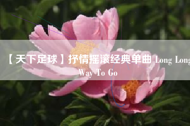 【天下足球】抒情摇滚经典单曲 Long Way To Go  第1张