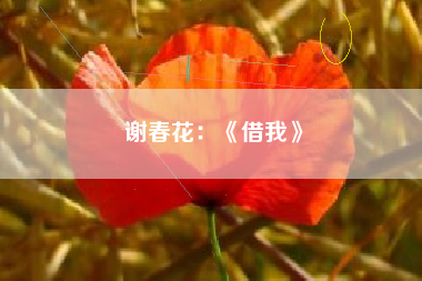 谢春花：《借我》  第1张