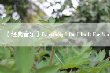 【经典音乐】Everything I Do, Do It For You  第1张