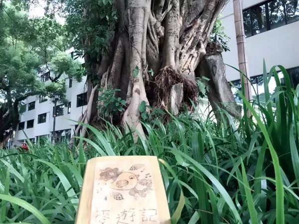 麦游记寒露组第29站：苦糖@广州，遇见还是重逢  第13张