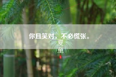 你且笑对，不必慌张。  第1张