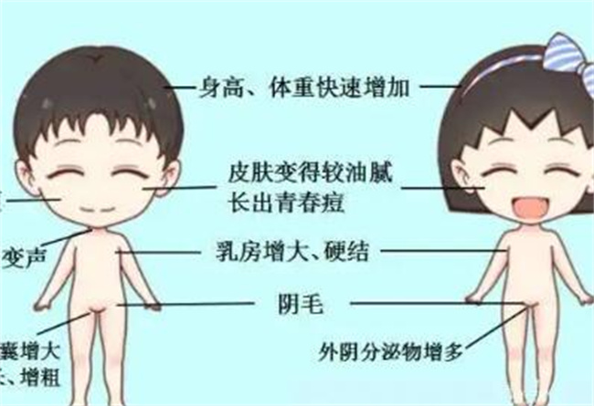 孩子早发育怎么治疗  第2张