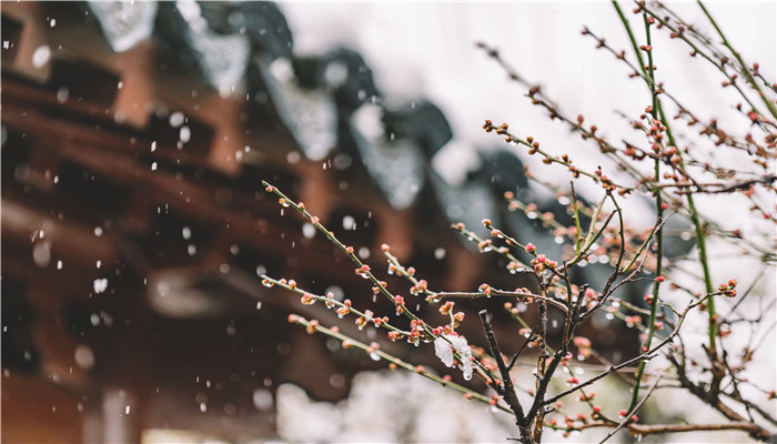 雪的形成是什么物态变化  第1张