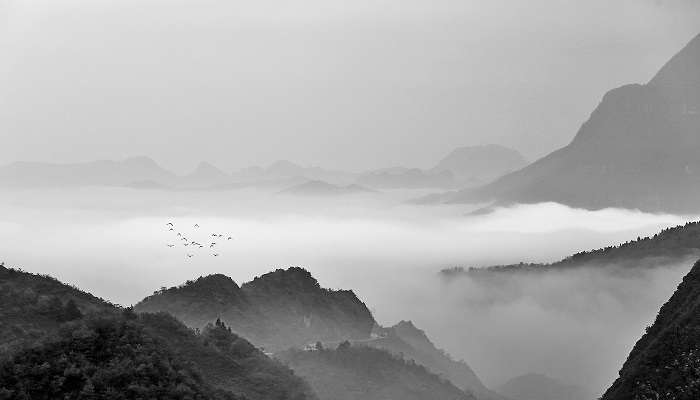 一蓑烟雨任平生的寓意  第1张