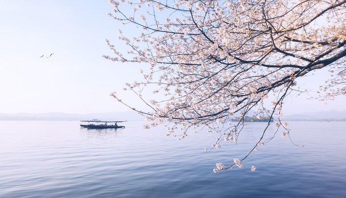 欲把西湖比西子淡妆浓抹总相宜描写的是什么风景名胜  第1张