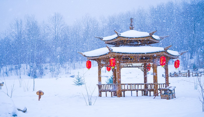 最妙的是下点小雪呀妙在哪里  第1张