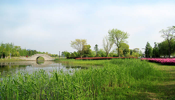 池塘生春草,园柳变鸣禽是什么意思?  第1张