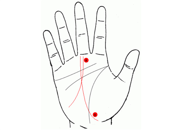女人手掌纹路图解右手命运线 命运线很短中年顺风顺水（分析命运线）  第2张