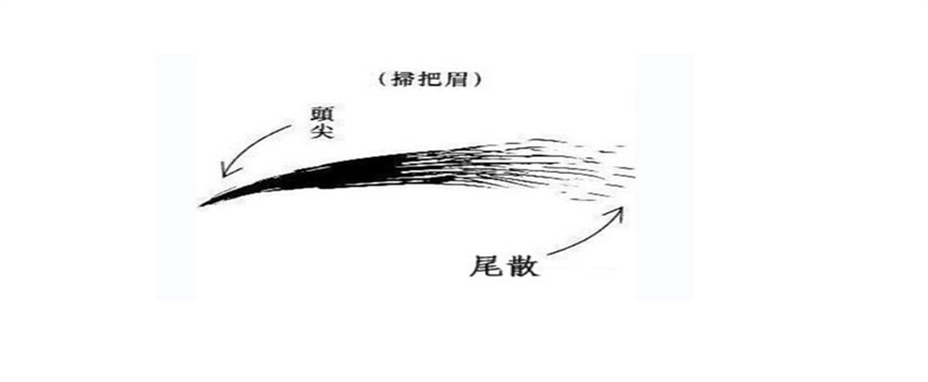 眉毛看相：扫把眉是好还是坏（坏）  第1张