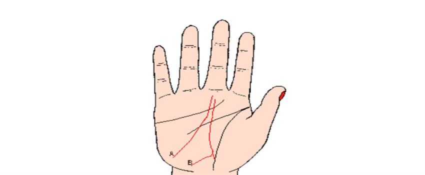 掌纹的秘密你知多少？（婚姻线，事业线，生命线）  第2张