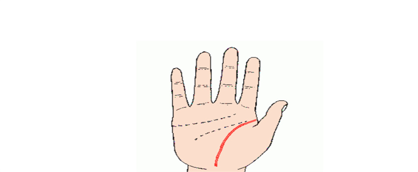 掌纹的秘密你知多少？（婚姻线，事业线，生命线）  第3张