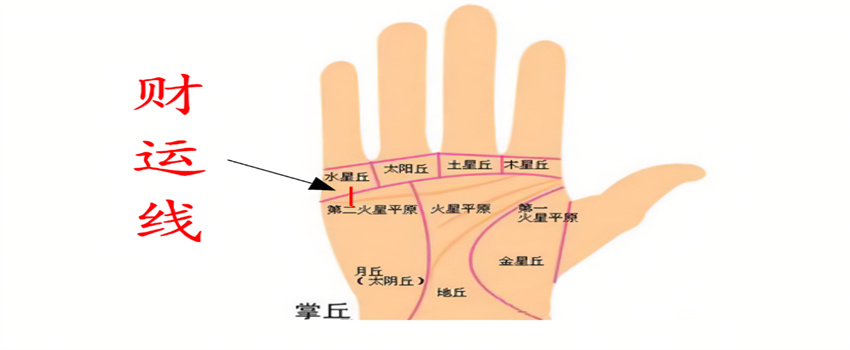 手面相如何预知一生财富（看财富线）  第1张