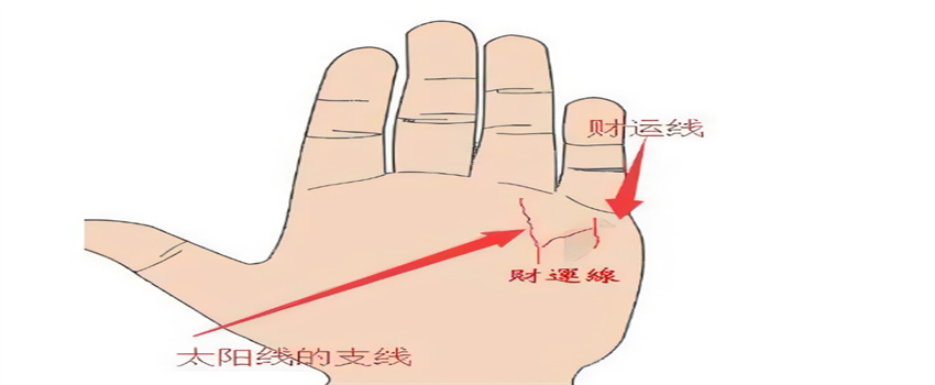 手面相如何预知一生财富（看财富线）  第3张