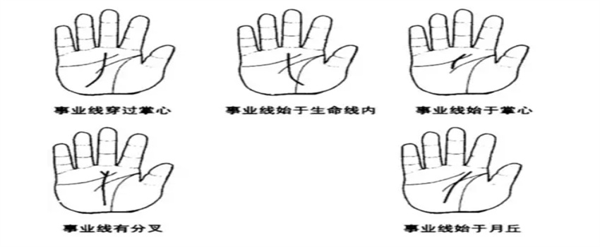 事业线很深是否说明事业有成？（是）  第1张