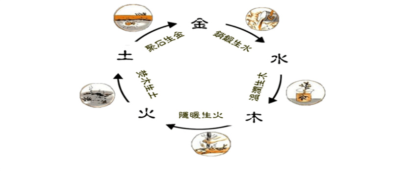 怎么利用自然科学逆转命运  第1张