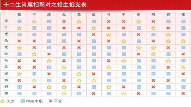 属鸡和属龙的合财吗  第3张