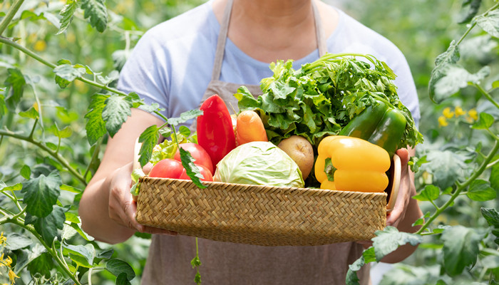 梦见大伯带我挖野菜是什么意思  第2张